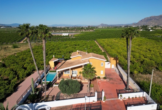 Reventa - Villa - Orihuela - Correntías Medias