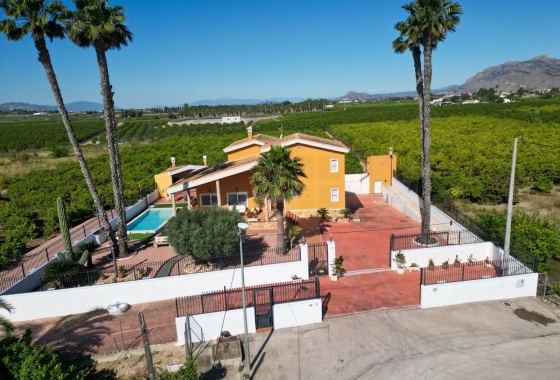 Reventa - Villa - Orihuela - Correntías Medias