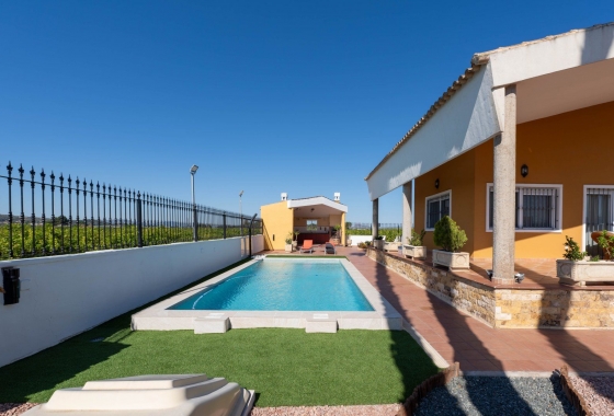 Reventa - Villa - Orihuela - Correntías Medias