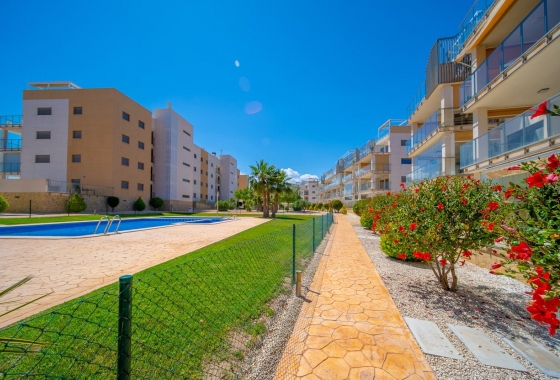 Reventa - Ático - Orihuela Costa - Villamartin