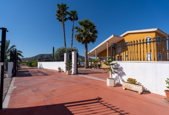 Revente - Finca / Country Property - Orihuela Costa - Orihuela
