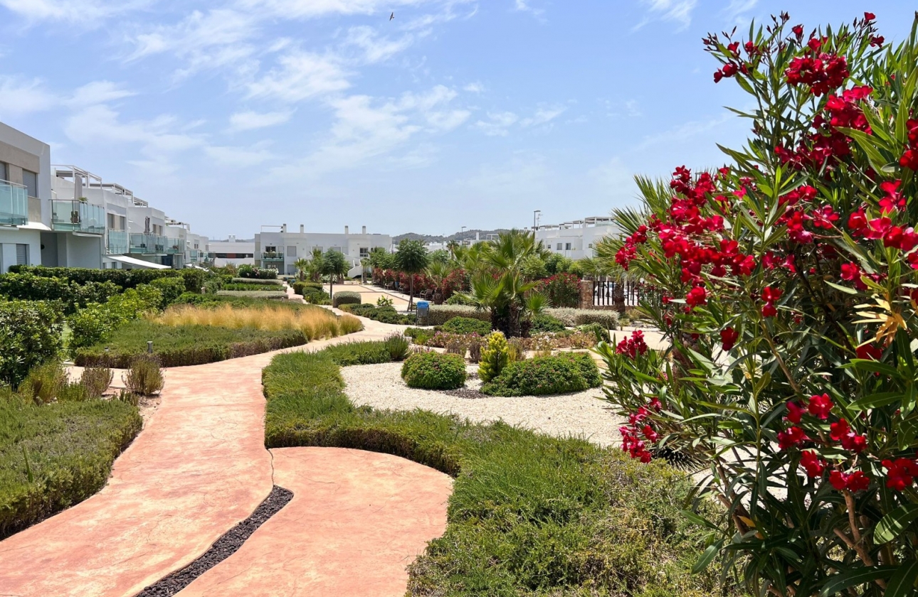 Reventa - Apartamento / piso - Vistabella Golf - Entre Naranjos Vistabella Golf