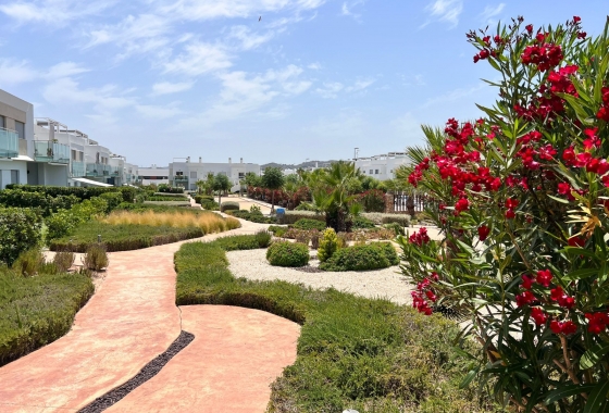 Reventa - Apartamento / piso - Vistabella Golf - Entre Naranjos Vistabella Golf