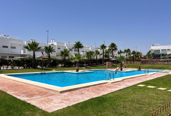 Reventa - Apartamento / piso - Vistabella Golf - Entre Naranjos Vistabella Golf