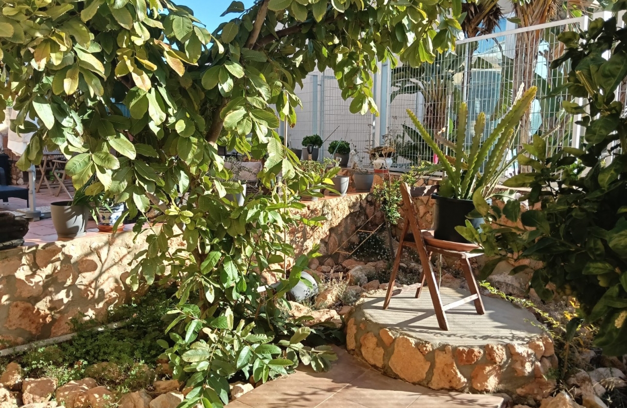 Reventa - Apartamento / piso - Los Montesinos - La Herrada