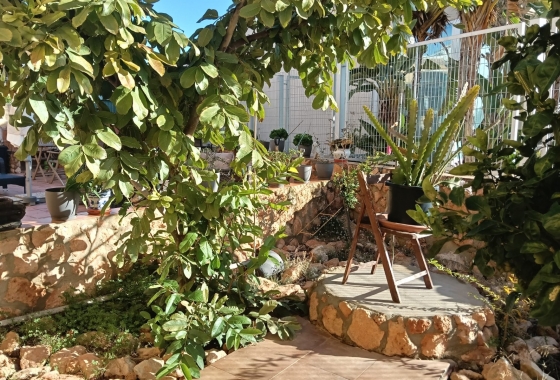 Reventa - Apartamento / piso - Los Montesinos - La Herrada