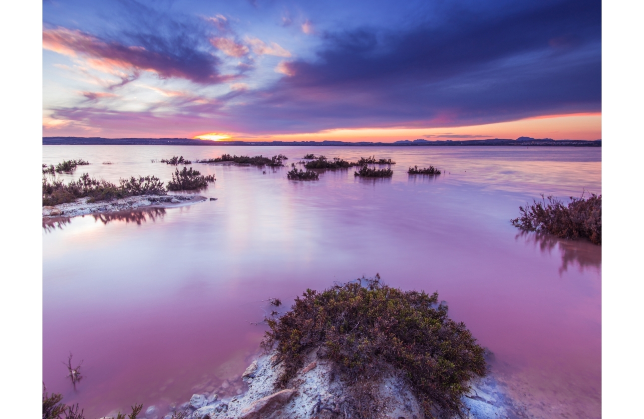 Reventa - Apartamento / piso - Torrevieja - La Mata