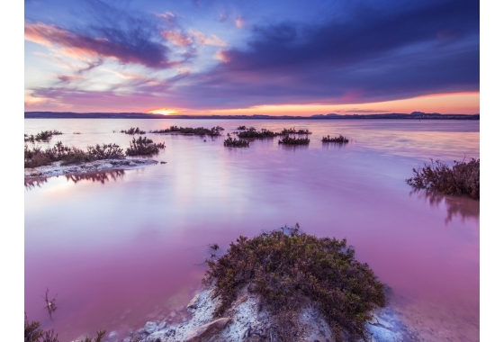 Reventa - Apartamento / piso - Torrevieja - La Mata