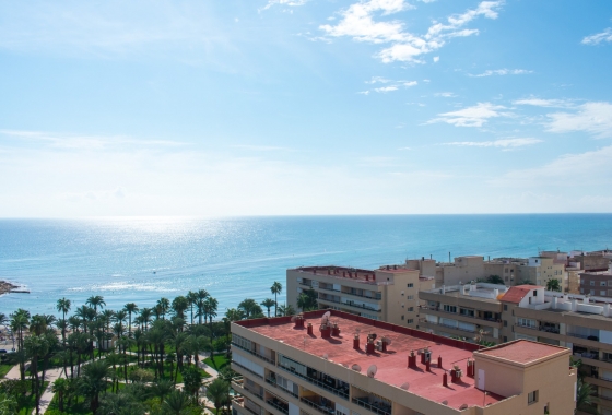 Reventa - Apartamento / piso - Torrevieja - Playa Los Locos