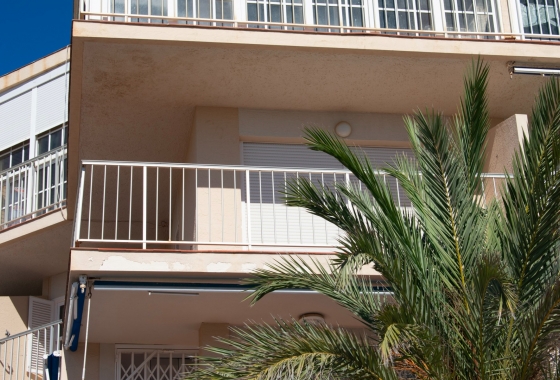 Reventa - Apartamento / piso - Torrevieja