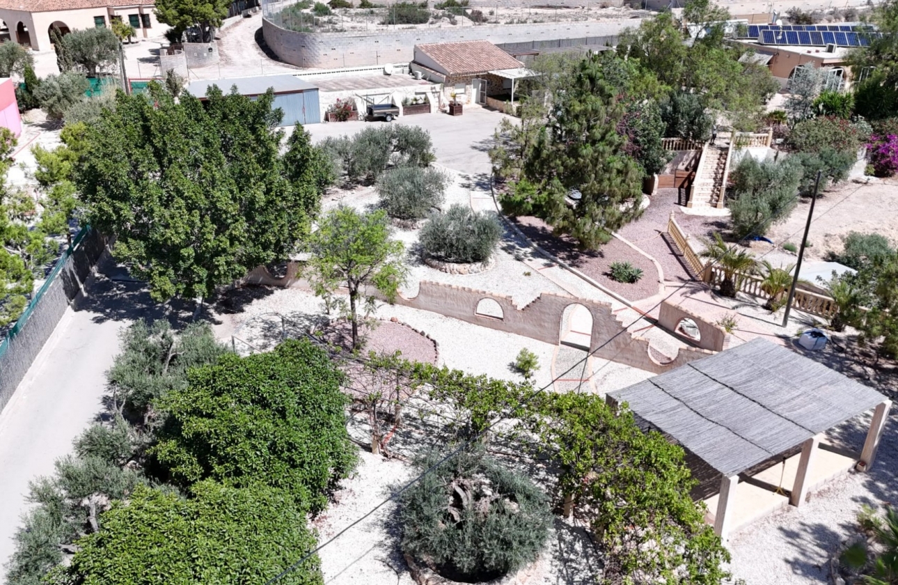 Revente - Finca / Country Property - Crevillente