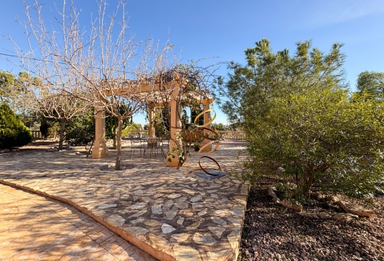 Revente - Finca / Country Property - Crevillente