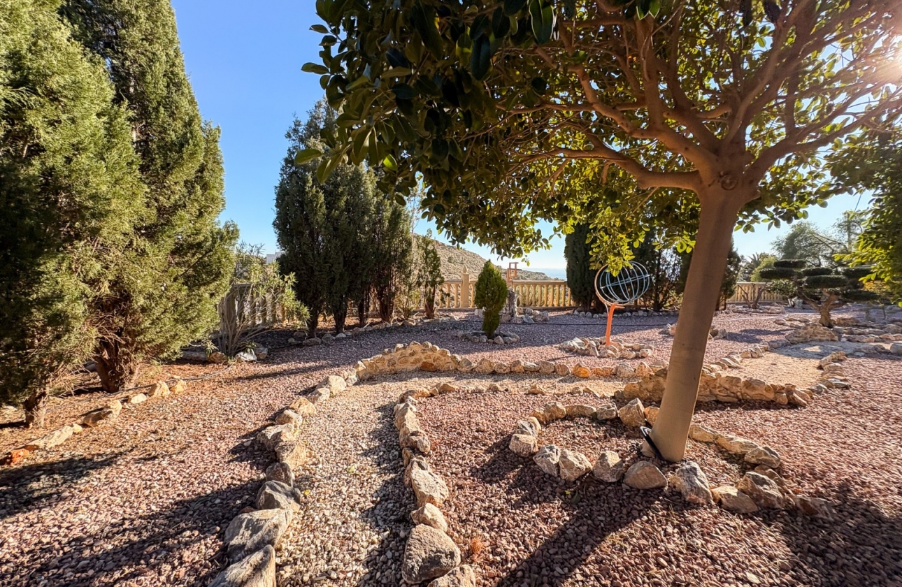 Revente - Finca / Country Property - Crevillente