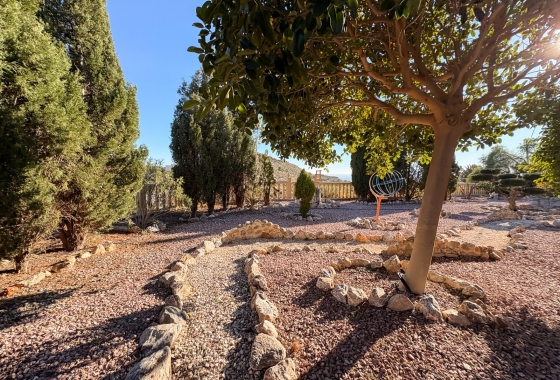 Revente - Finca / Country Property - Crevillente