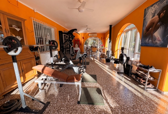 Revente - Finca / Country Property - Crevillente