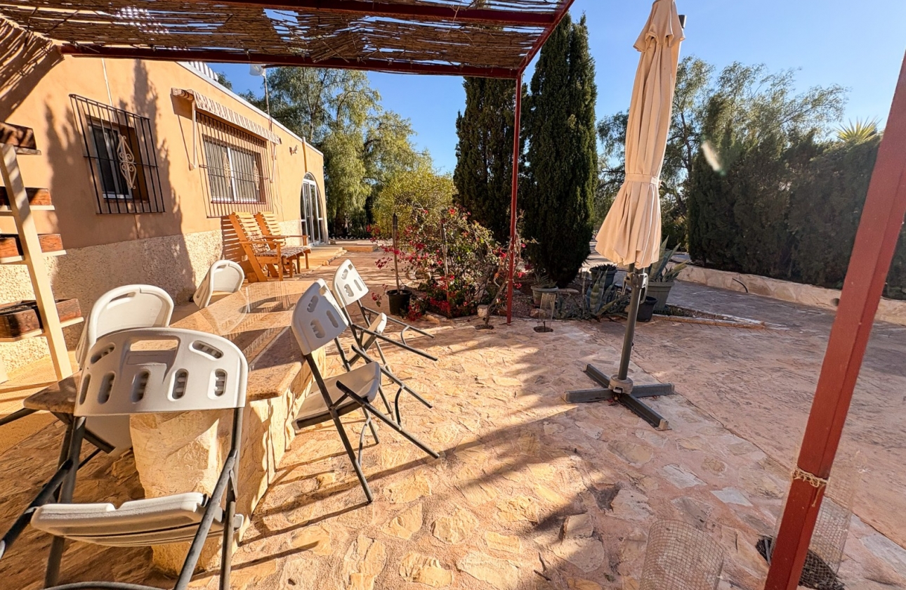 Revente - Finca / Country Property - Crevillente