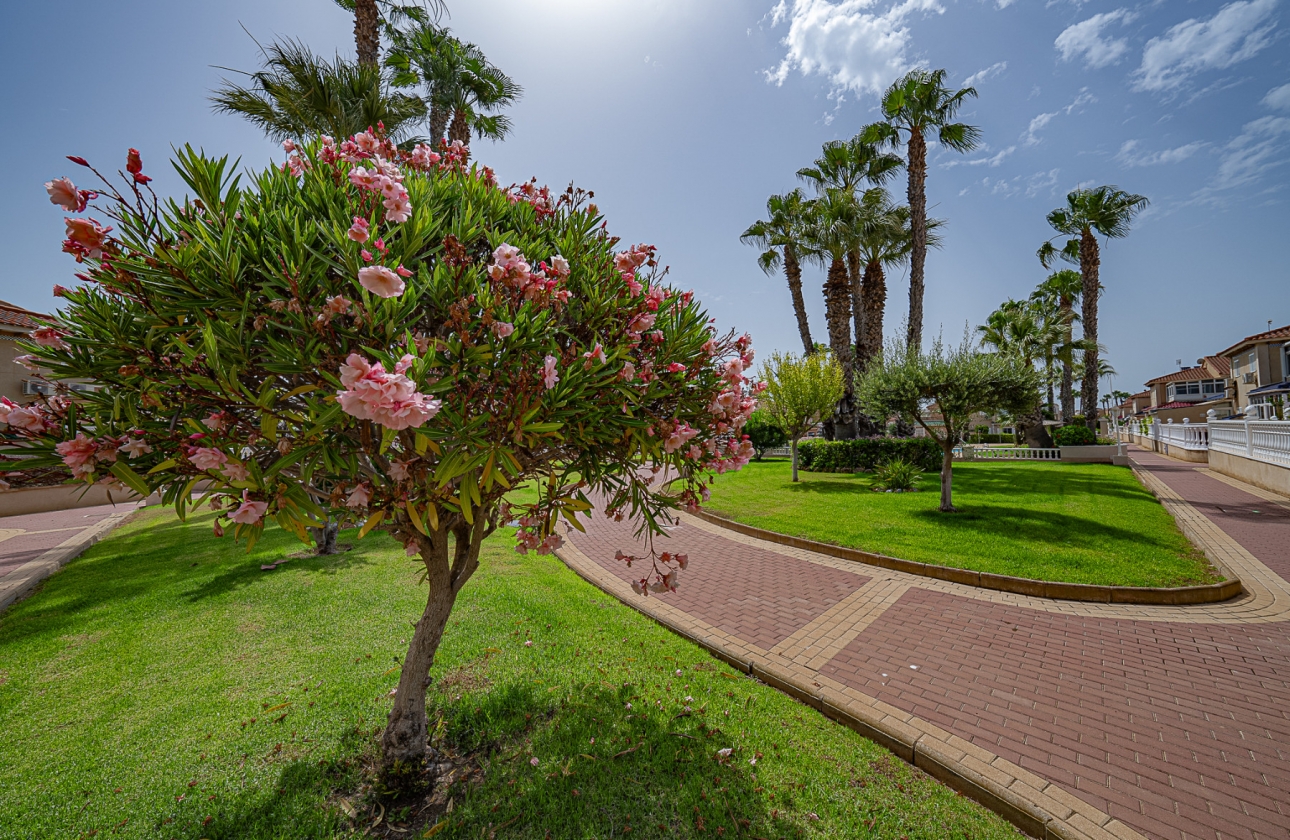 Revente - Appartement - Playa Flamenca - Zenia Mar