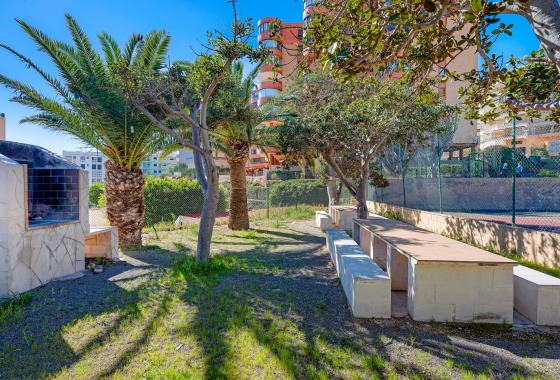 Resale - Apartment / flat - Arenales del Sol - Segunda linea playa