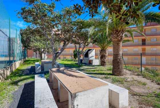 Resale - Apartment / flat - Arenales del Sol - Segunda linea playa