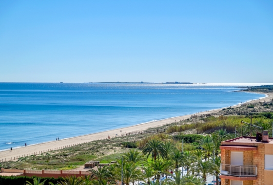 Resale - Apartment / flat - Arenales del Sol - Segunda linea playa