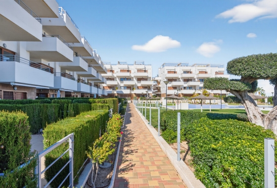 Resale - Apartment / flat - Campoamor - Dehesa de campoamor