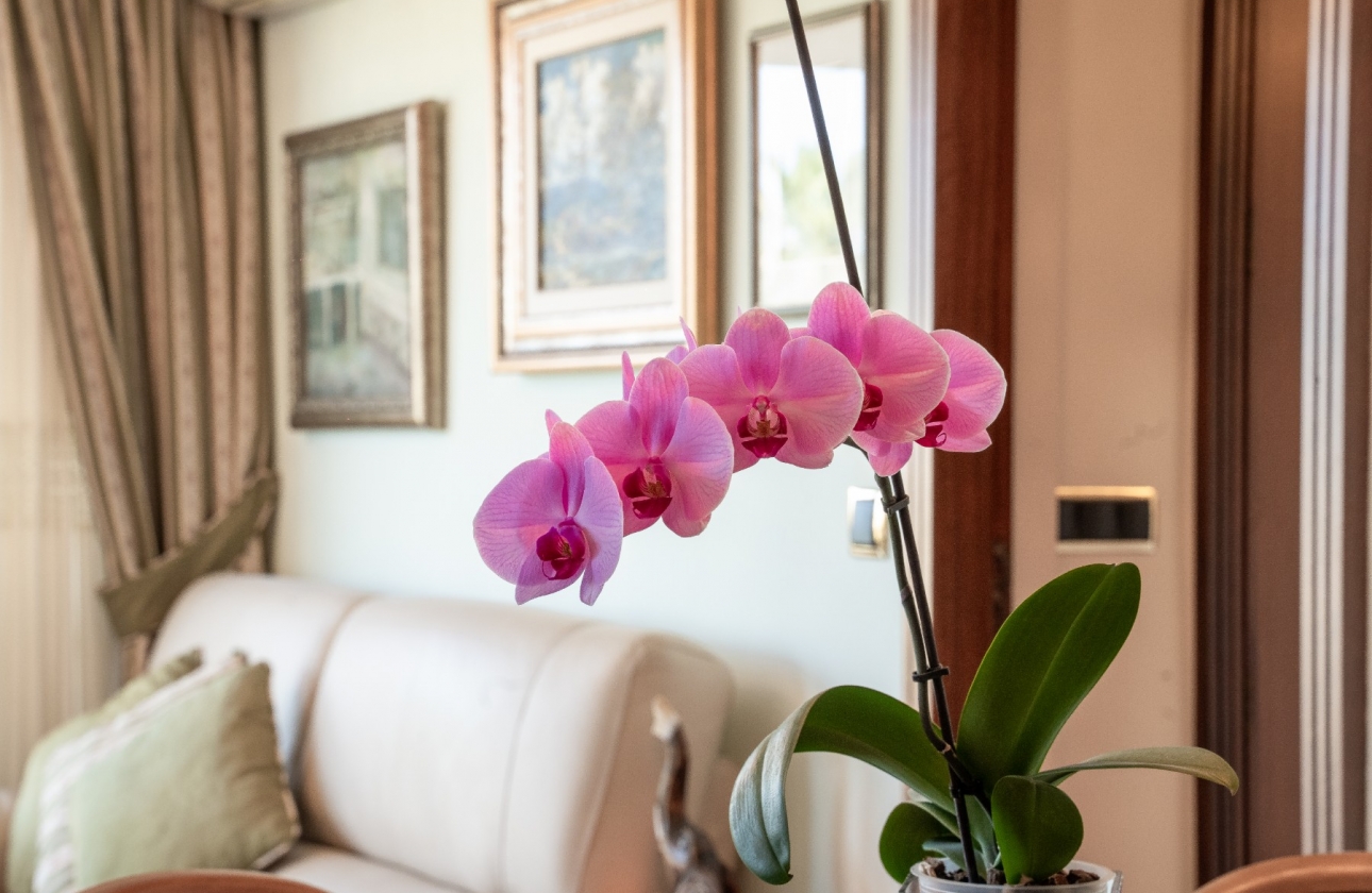 Resale - Apartment / flat - Alicante - Center