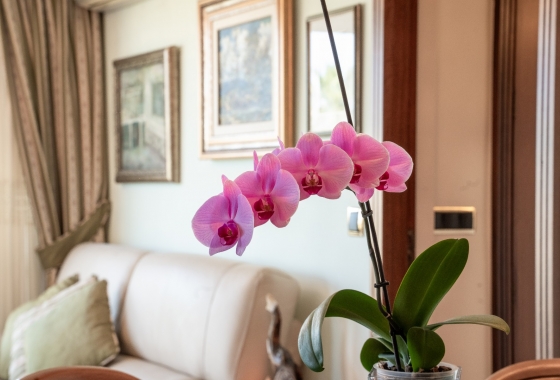 Resale - Apartment / flat - Alicante - Center