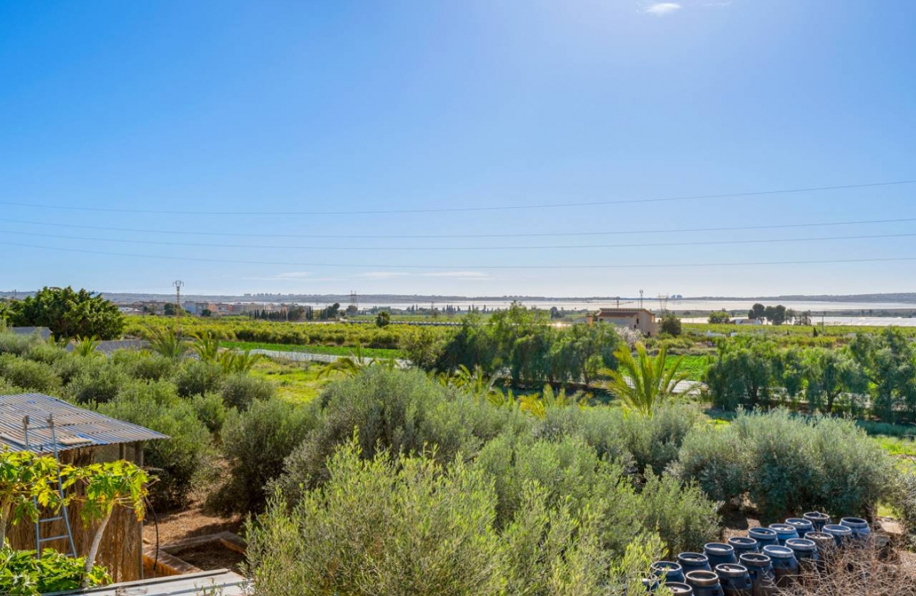 Resale - Finca / Country Property - Los Montesinos