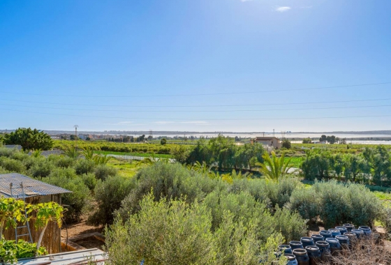 Resale - Finca / Country Property - Los Montesinos