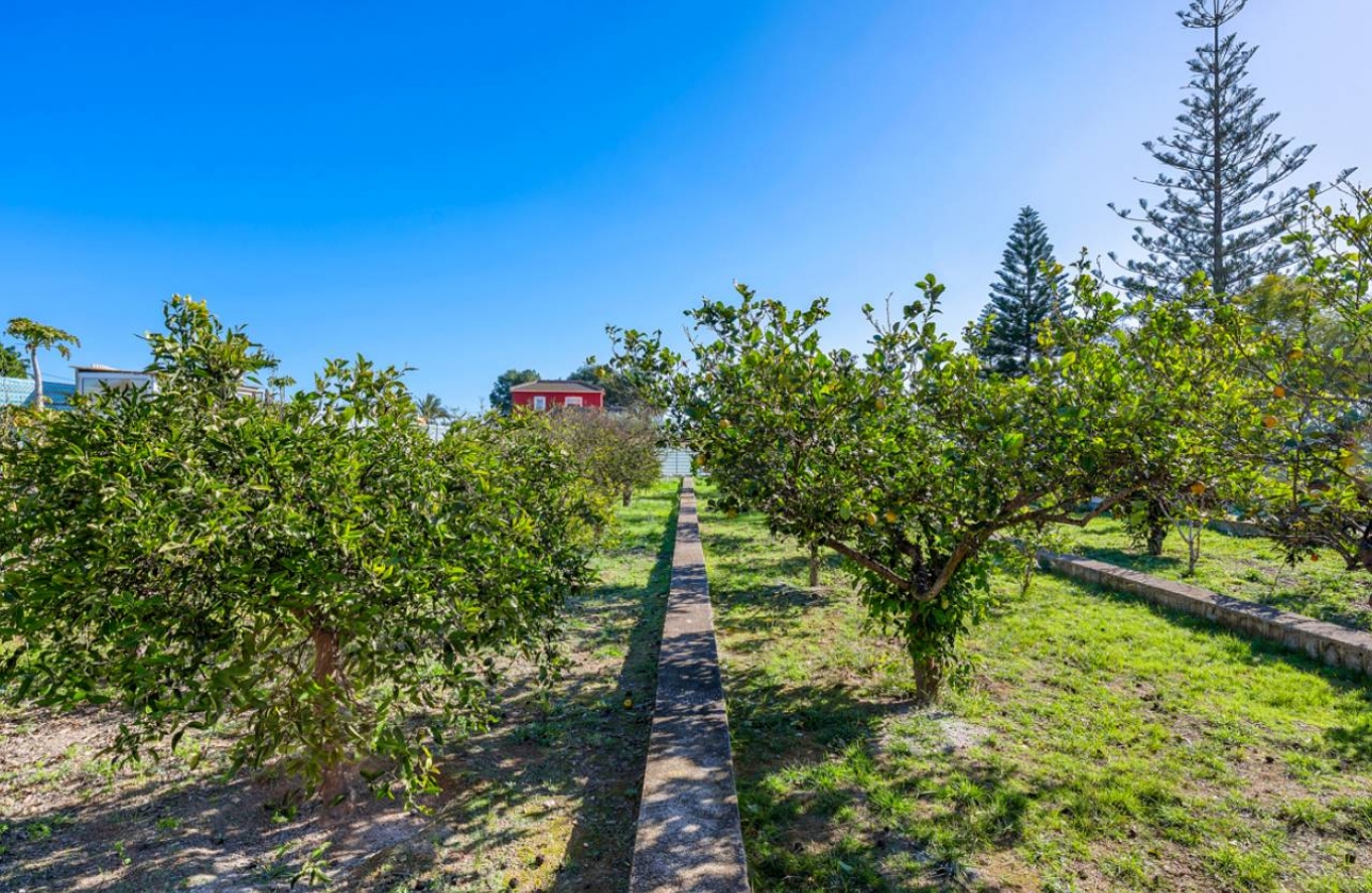 Resale - Finca / Country Property - Los Montesinos