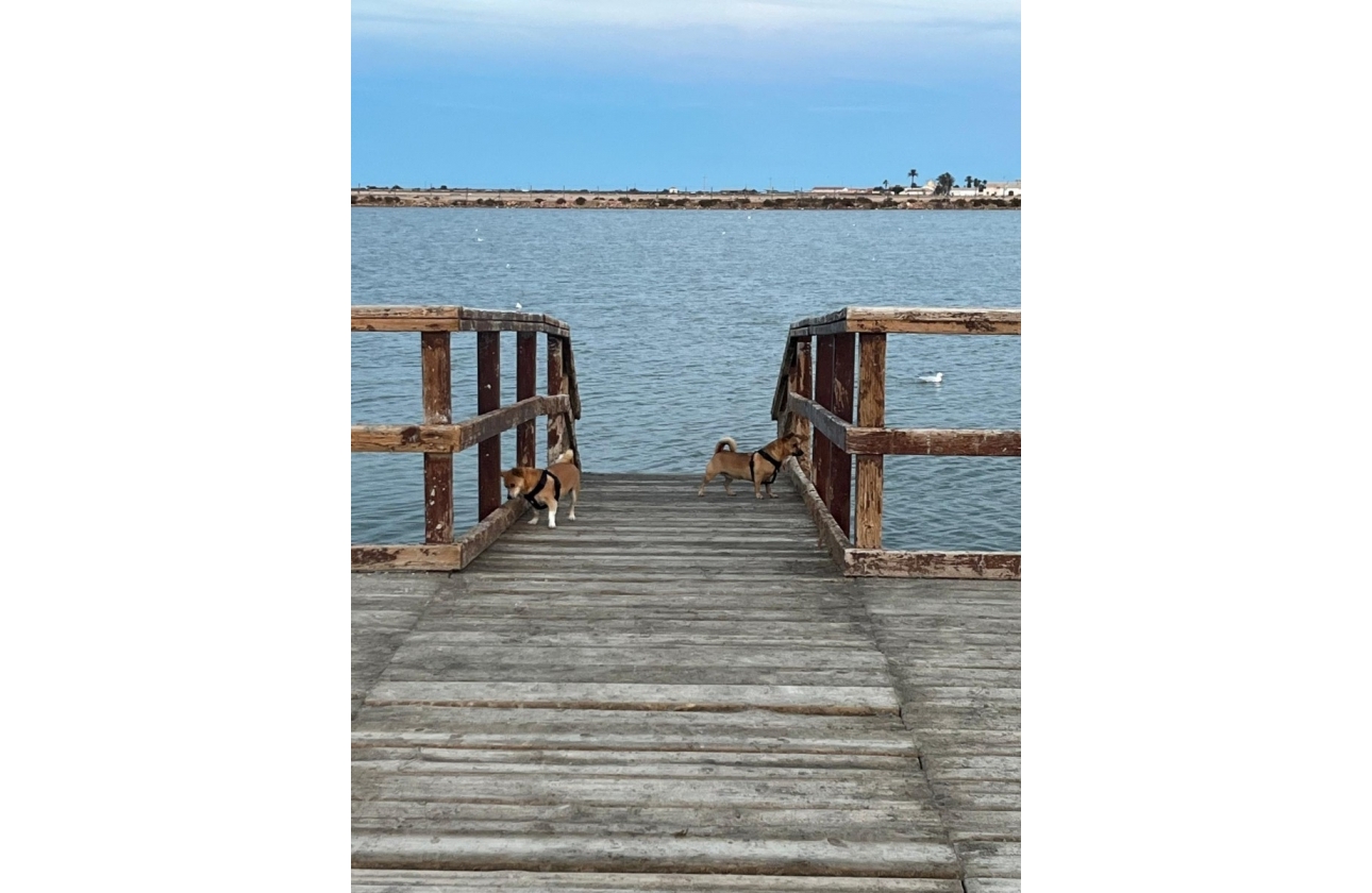 Resale - House - San Pedro del Pinatar - Los Antolinos