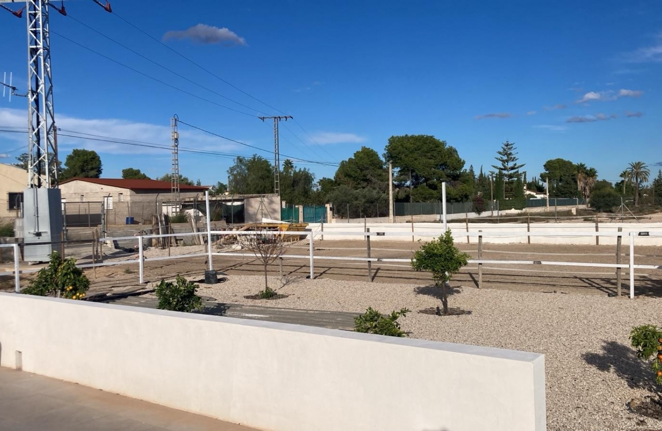 Reventa - Finca / Country Property - Crevillente