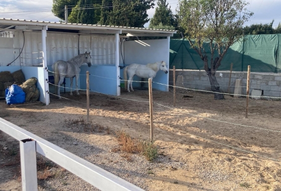 Reventa - Finca / Country Property - Crevillente