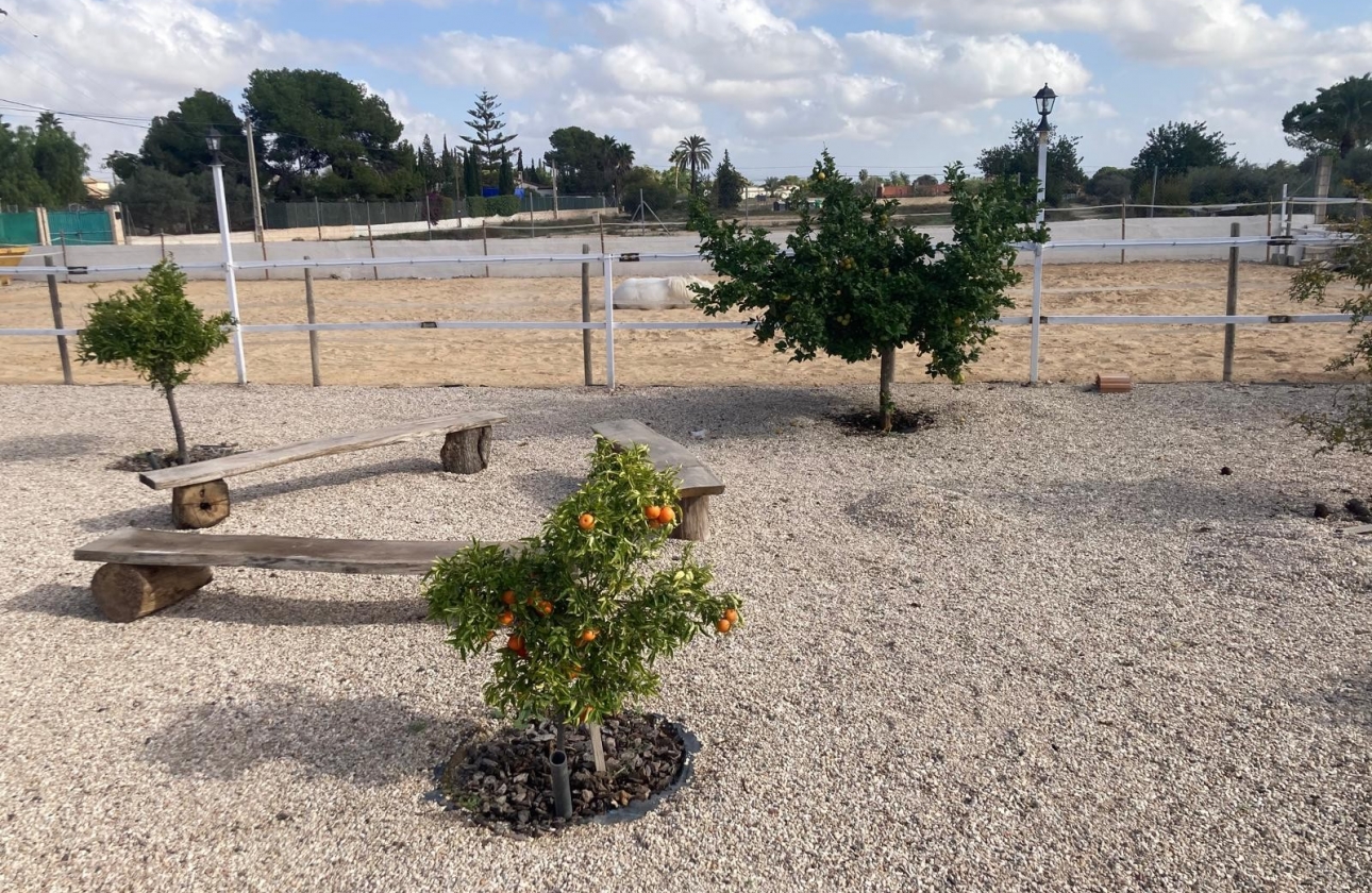 Reventa - Finca / Country Property - Crevillente