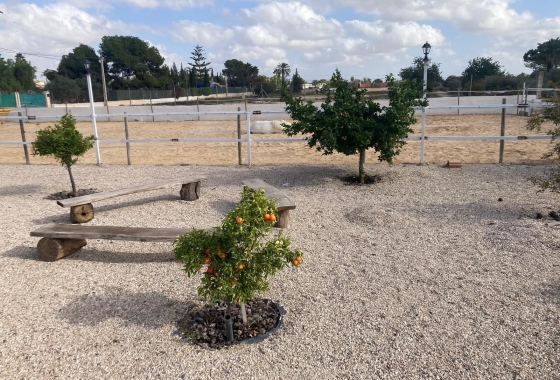 Reventa - Finca / Country Property - Crevillente