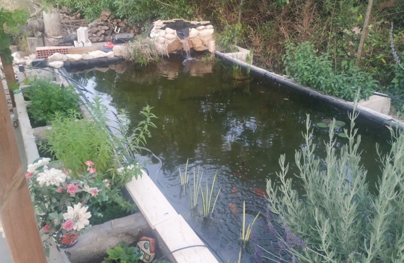 Reventa - Finca / Country Property - Crevillente