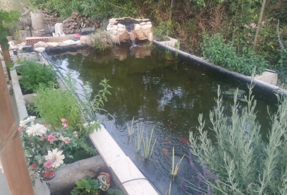 Reventa - Finca / Country Property - Crevillente