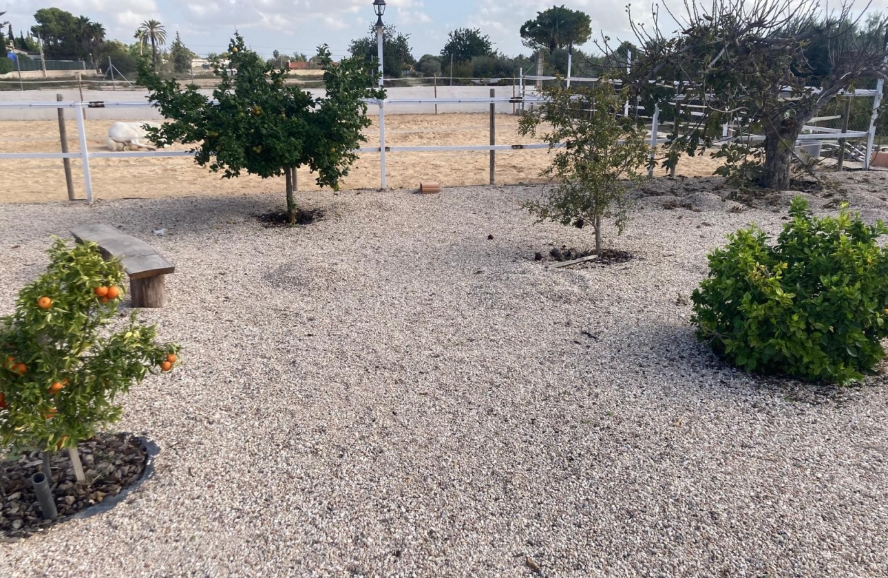 Reventa - Finca / Country Property - Crevillente