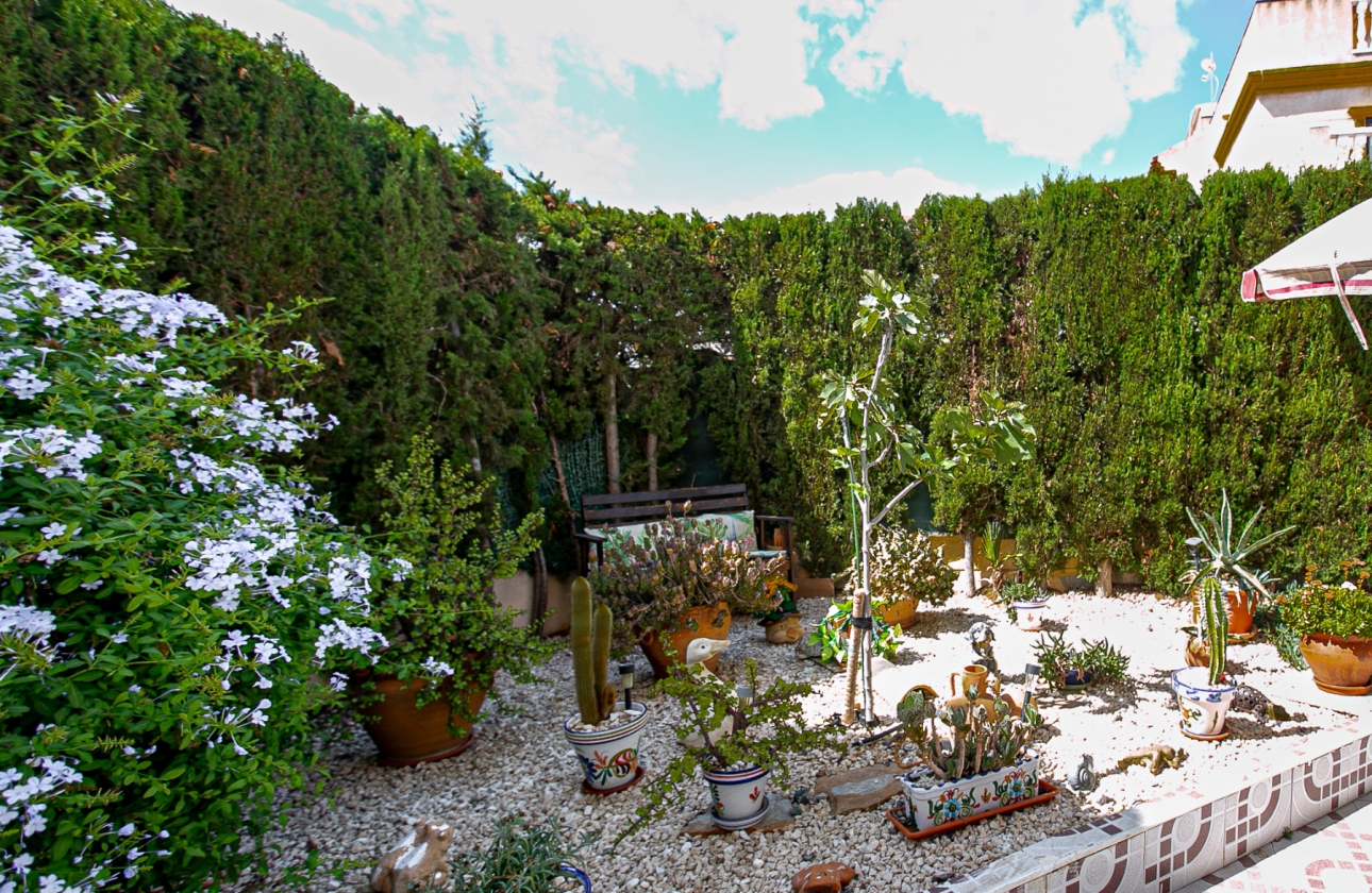 Reventa - Apartamento / piso - Playa Flamenca