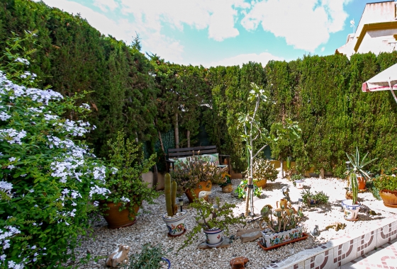 Reventa - Apartamento / piso - Playa Flamenca