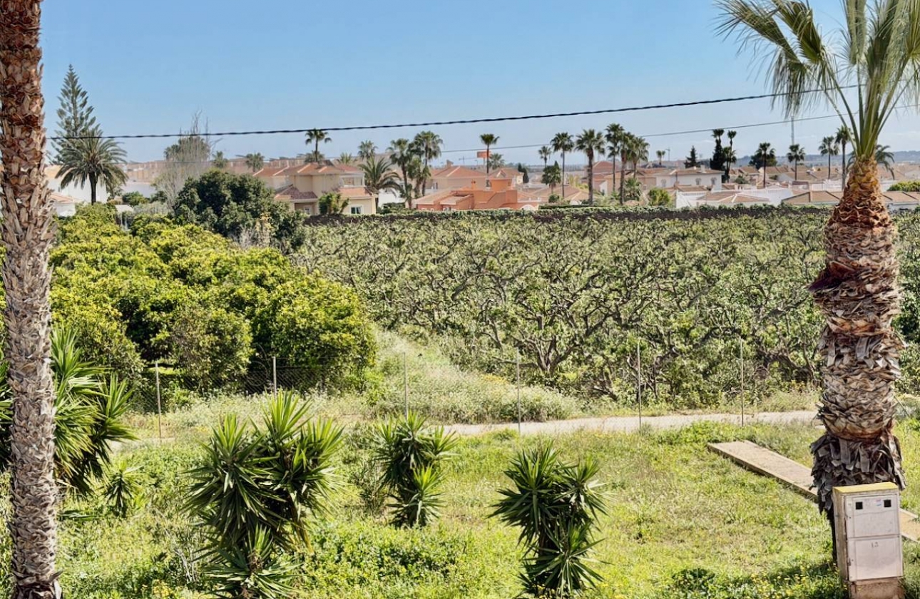 Revente - Appartement - Ciudad Quesada