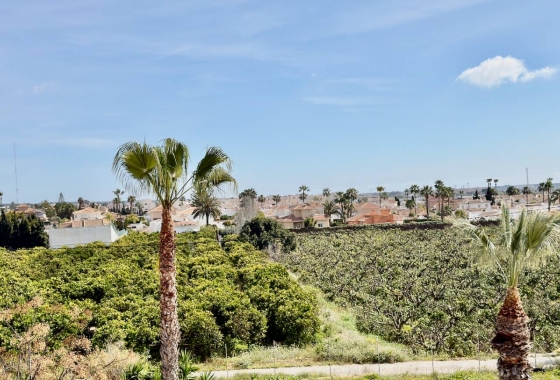 Revente - Appartement - Ciudad Quesada