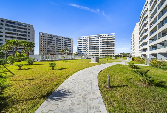 Revente - Appartement - Torrevieja - Punta Prima