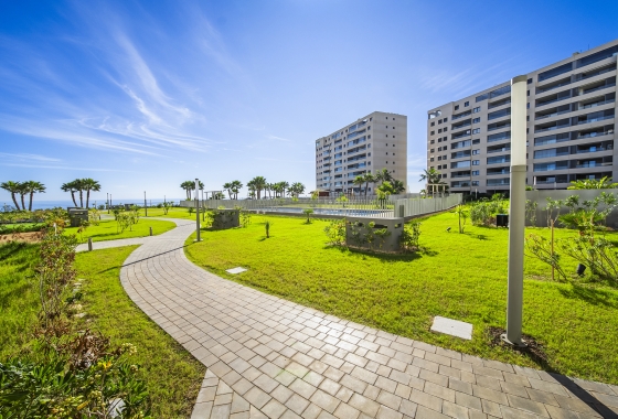 Revente - Appartement - Torrevieja - Punta Prima