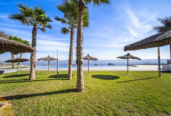 Revente - Appartement - Torrevieja - Punta Prima