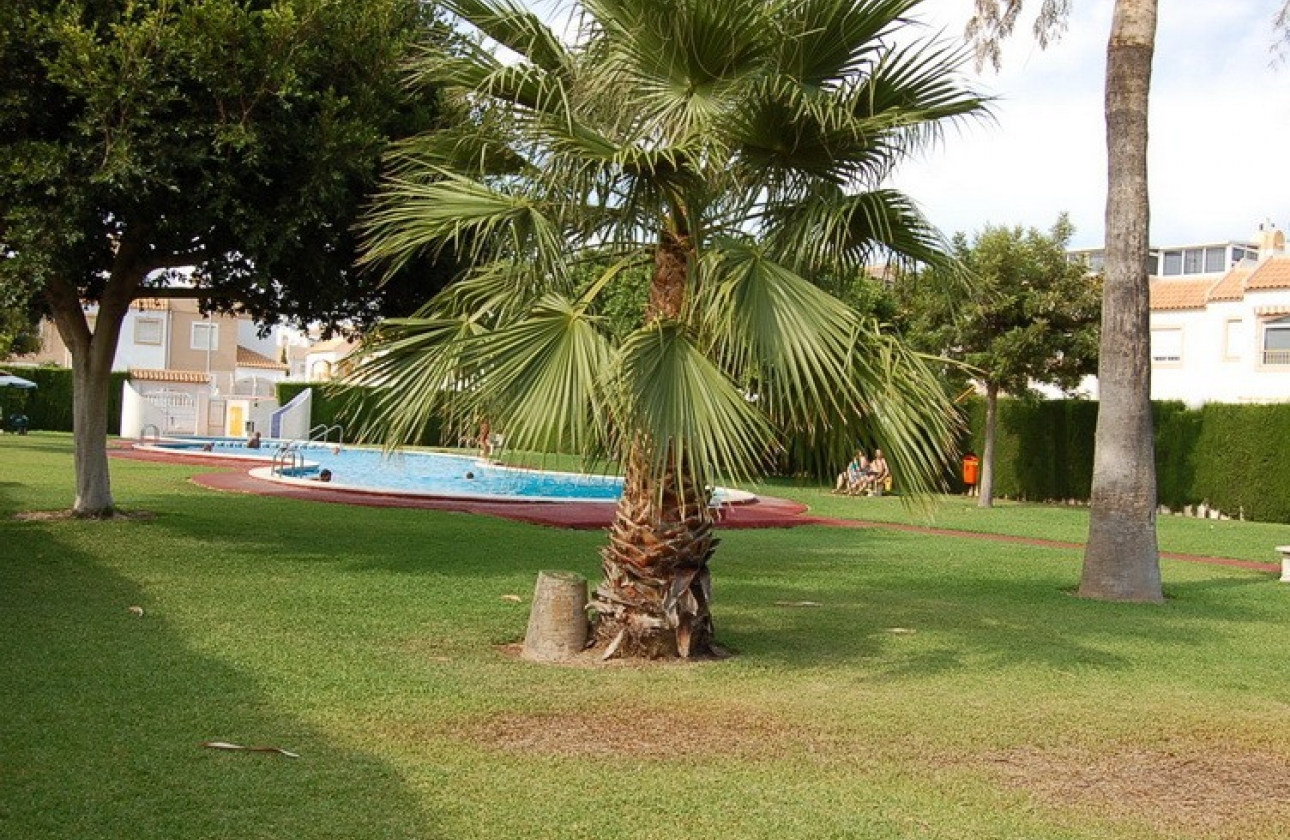 Reventa - Casa - Torrevieja - El Limonar