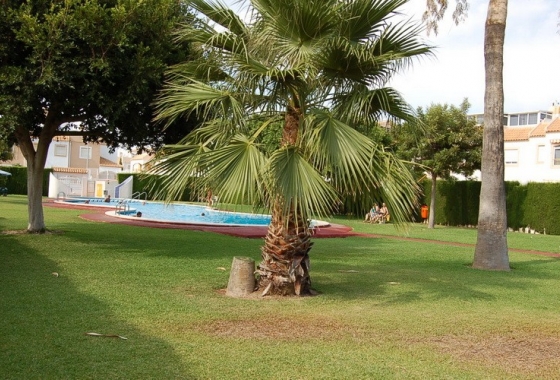 Reventa - Casa - Torrevieja - El Limonar