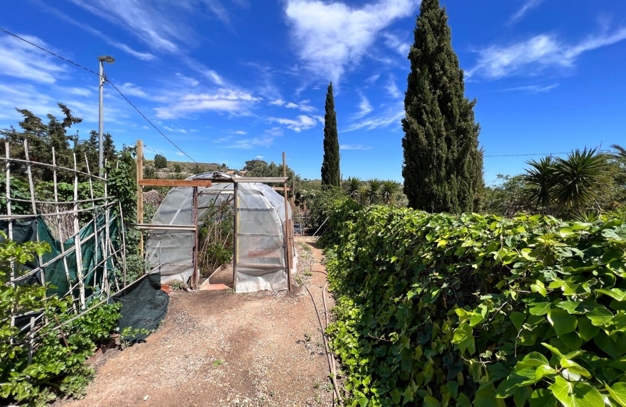 Wiederverkauf - 5. Finca / Country Property - Cartagena