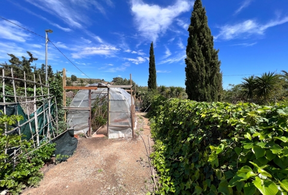 Wiederverkauf - 5. Finca / Country Property - Cartagena