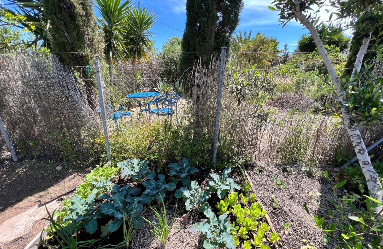 Wiederverkauf - 5. Finca / Country Property - Cartagena